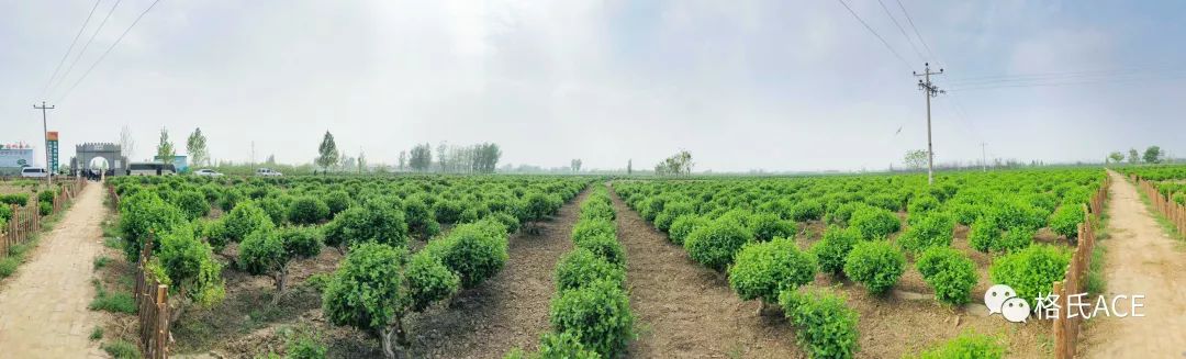 植保无人机角逐园地