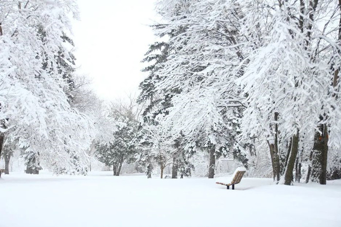 冰雪低温情形